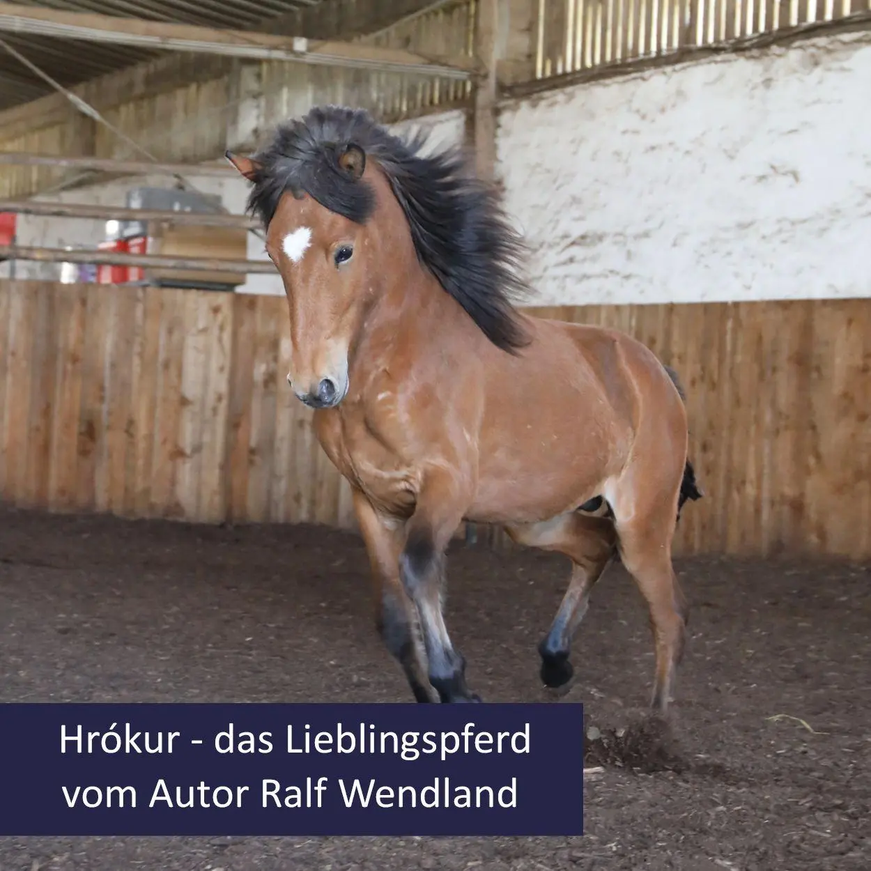 Bild: 9783911060769 | Hrókur und die Himmelsreiter | Kinderbuch | Wendland Ralf (u. a.)
