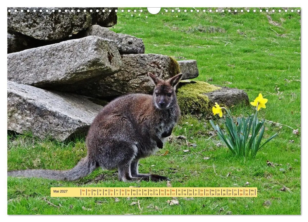 Bild: 9783594260869 | Fichtelgebirge - Naturgebiet zwischen Wäldern und Felsen...