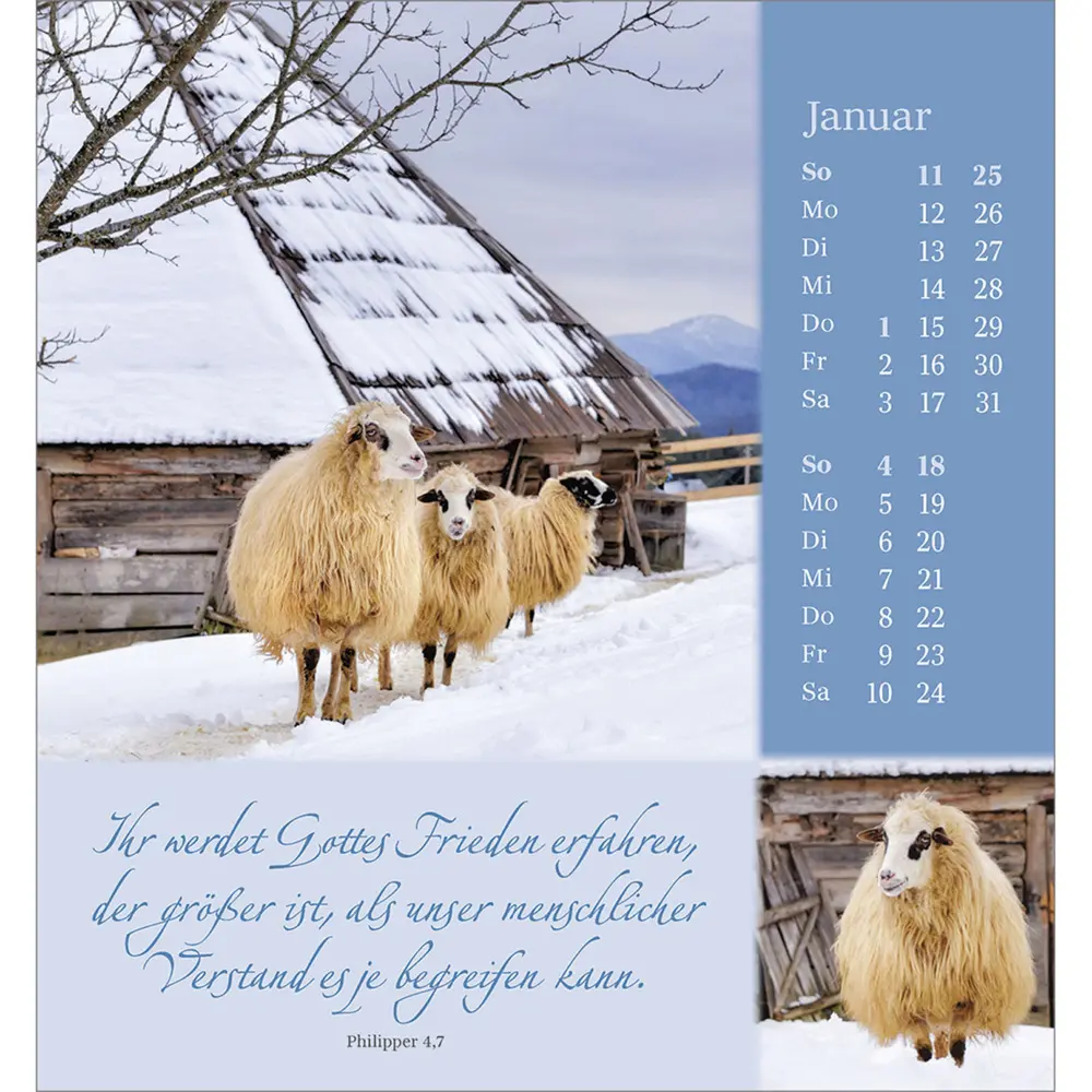Bild: 9783754880869 | Sei behütet und geborgen 2026 | Impulse und Gedanken aus Psalm 23
