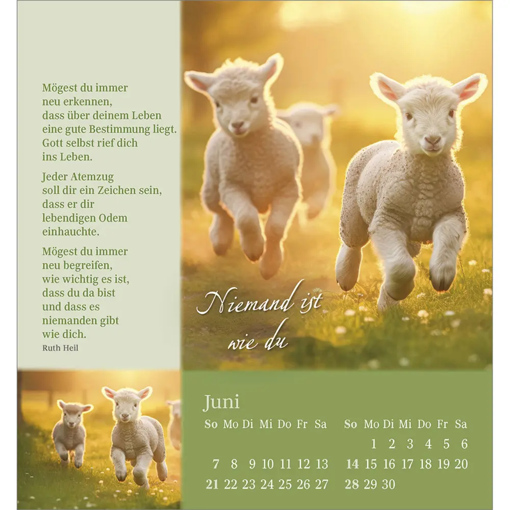 Bild: 9783754880869 | Sei behütet und geborgen 2026 | Impulse und Gedanken aus Psalm 23