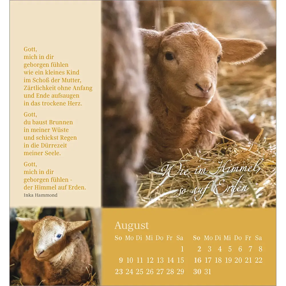Bild: 9783754880869 | Sei behütet und geborgen 2026 | Impulse und Gedanken aus Psalm 23