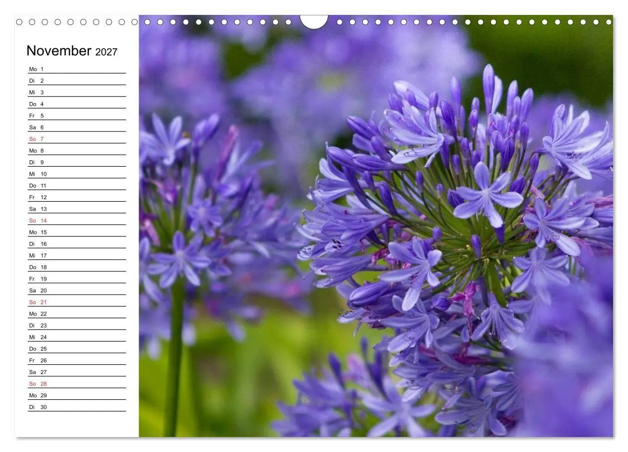 Bild: 9783569931169 | Azoren - São Miguel (Wandkalender 2027 DIN A3 quer), CALVENDO...