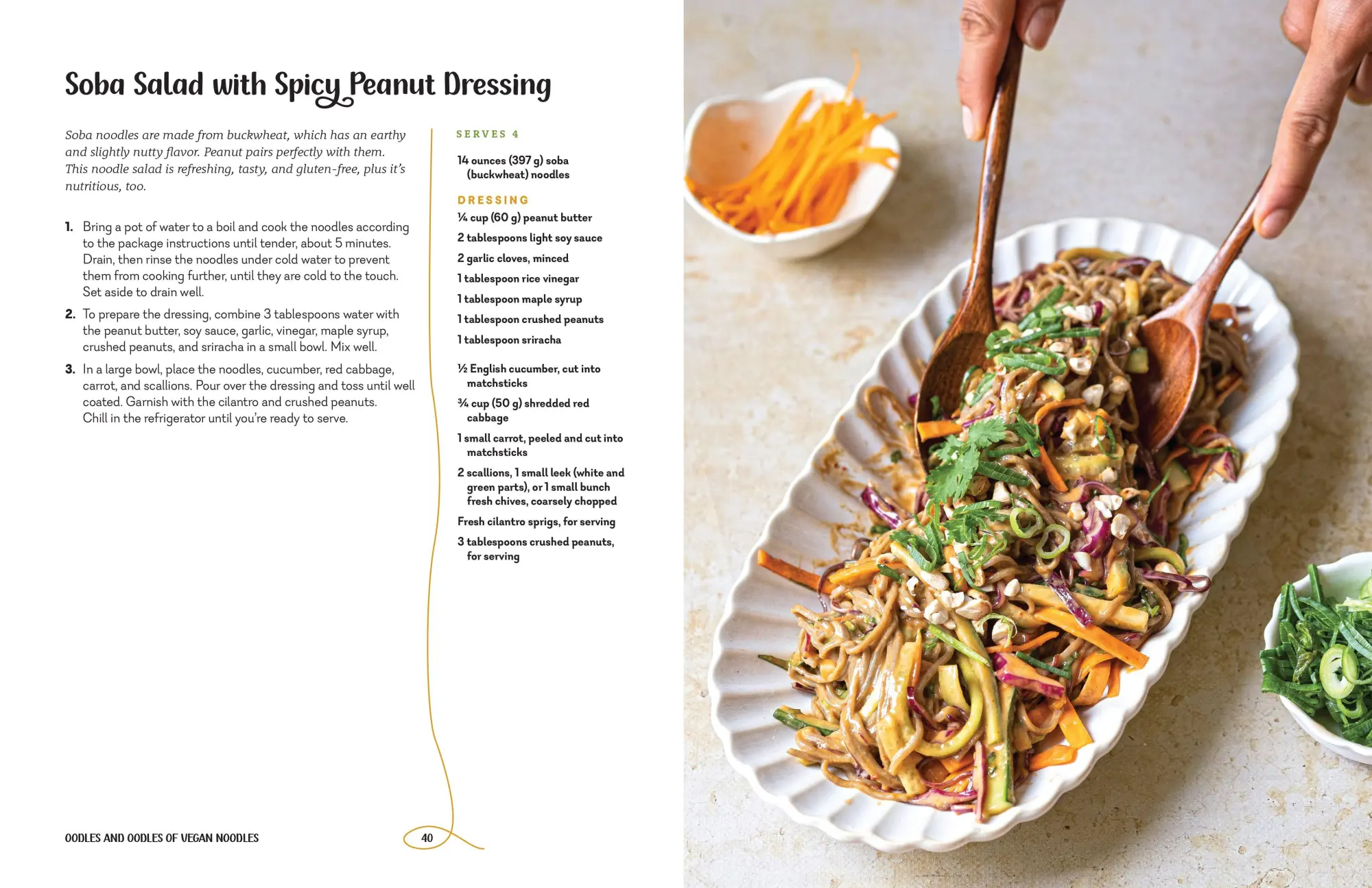 Bild: 9781891011269 | Oodles and Oodles of Vegan Noodles | Cheynese Khachame | Buch | 2023