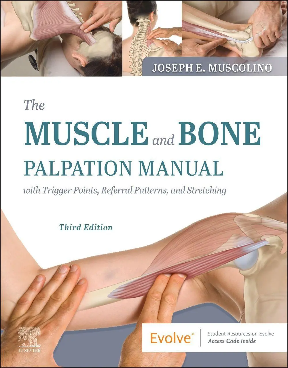 Cover: 9780323761369 | The Muscle and Bone | Joseph E. Muscolino | Taschenbuch | Englisch