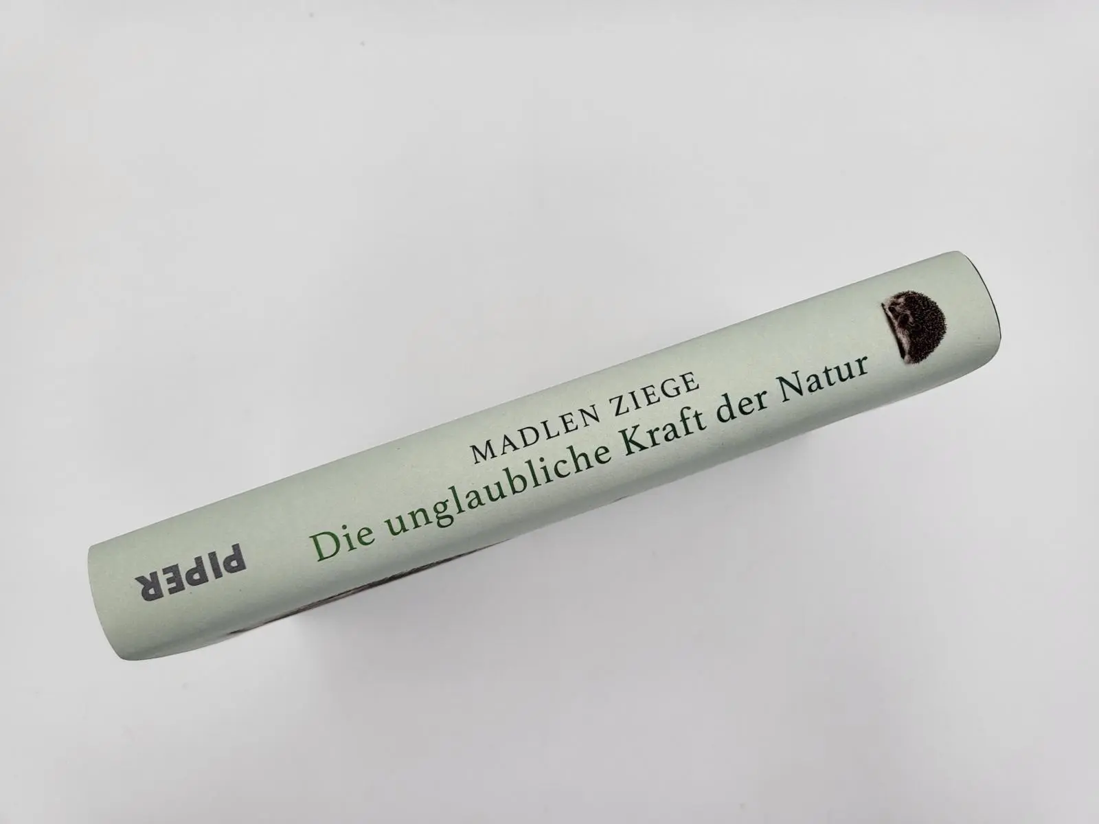 Bild: 9783492071369 | Die unglaubliche Kraft der Natur | Madlen Ziege | Buch | 240 S. | 2023