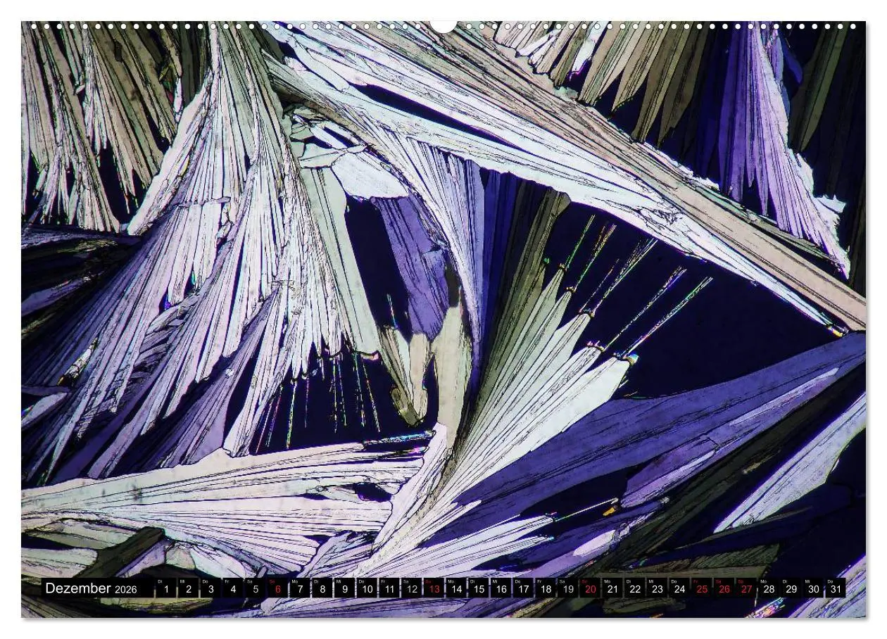 Bild: 9783516061369 | Mikrokristalle in polarisiertem Licht (hochwertiger Premium...