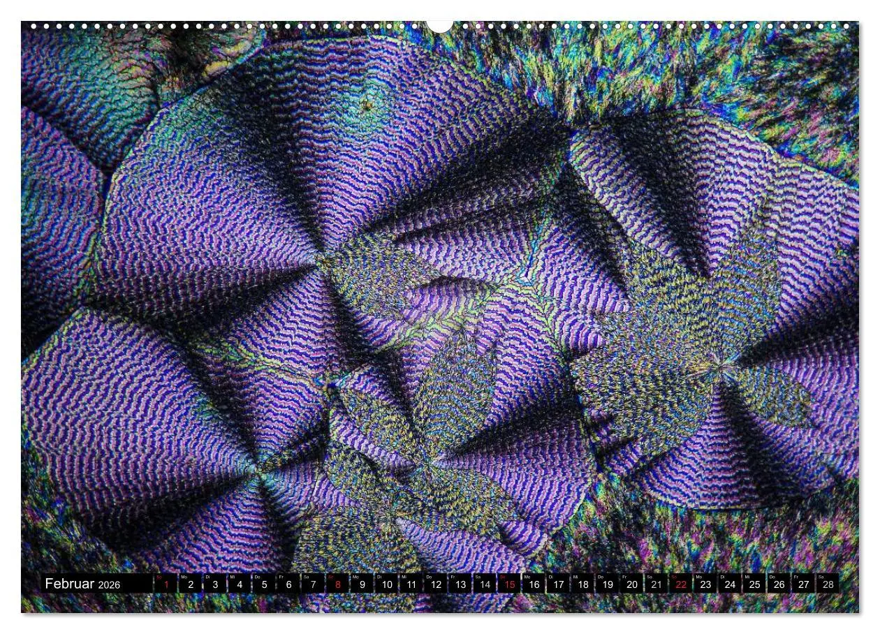 Bild: 9783516061369 | Mikrokristalle in polarisiertem Licht (hochwertiger Premium...