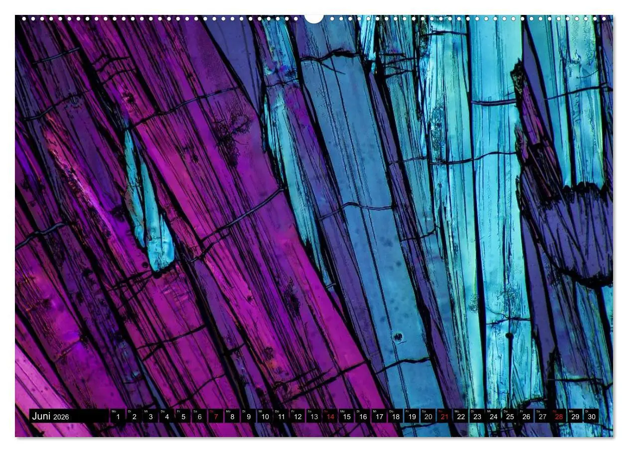 Bild: 9783516061369 | Mikrokristalle in polarisiertem Licht (hochwertiger Premium...