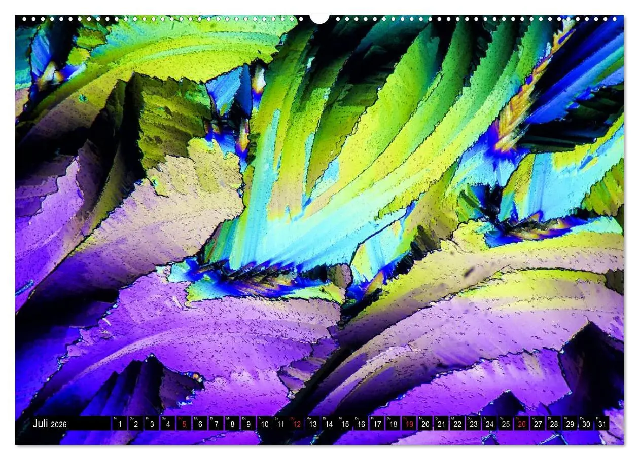 Bild: 9783516061369 | Mikrokristalle in polarisiertem Licht (hochwertiger Premium...