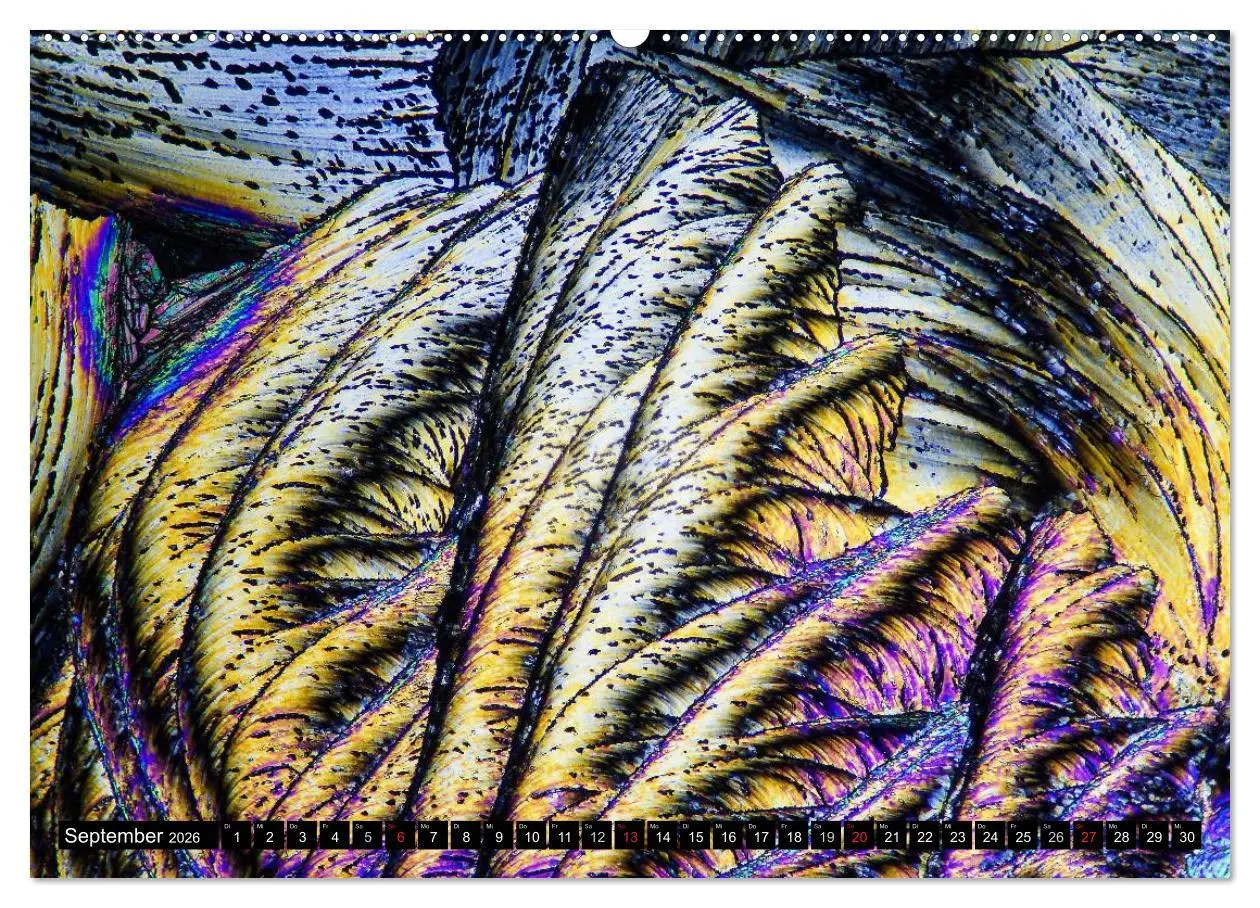 Bild: 9783516061369 | Mikrokristalle in polarisiertem Licht (hochwertiger Premium...