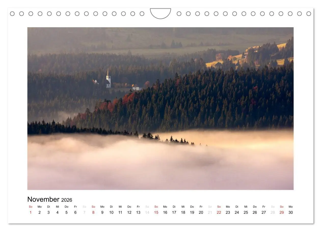 Bild: 9783516201369 | Schwarzwald 2026 (Wandkalender 2026 DIN A4 quer), CALVENDO...