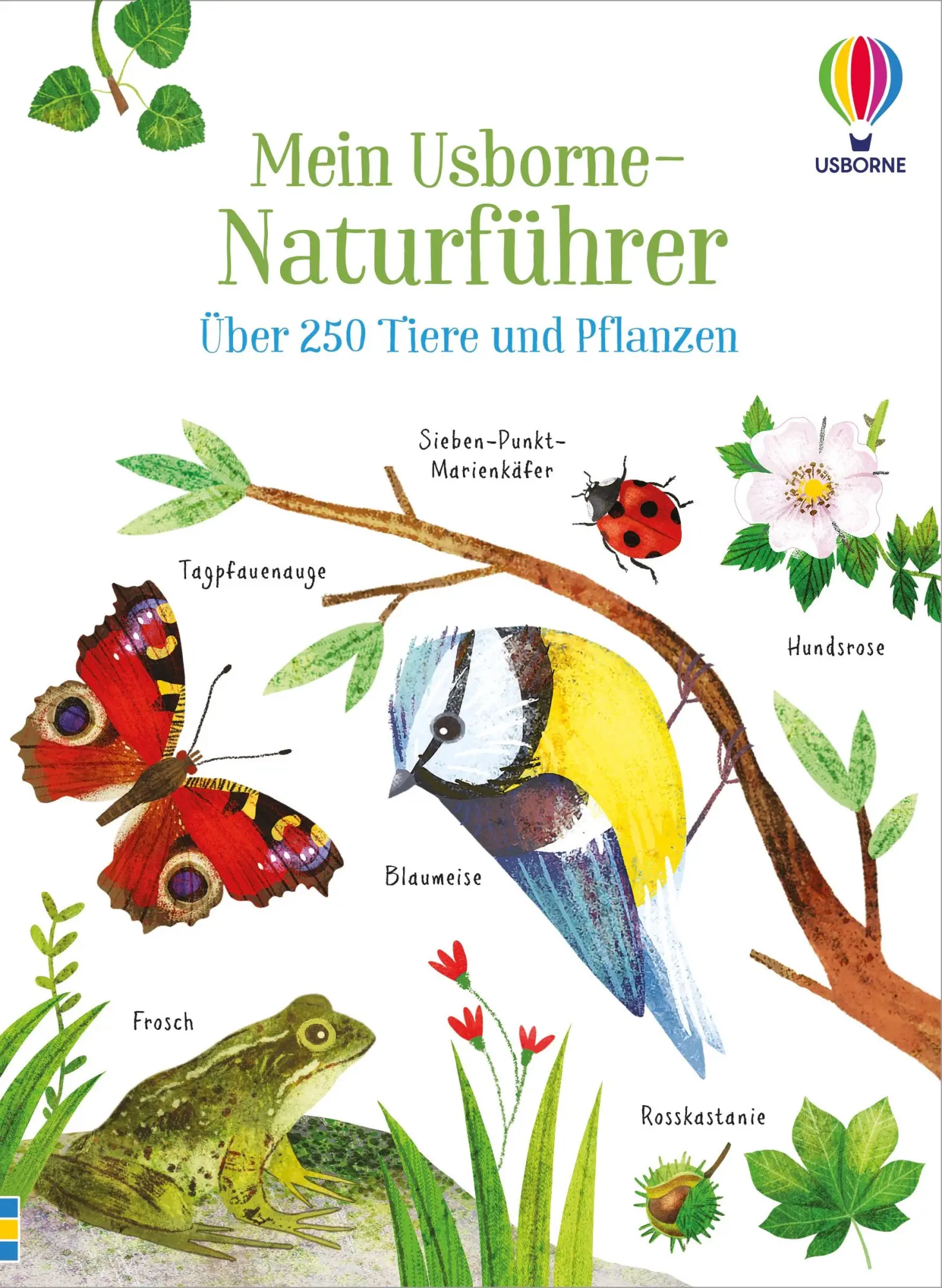 Cover: 9781035701469 | Mein Usborne-Naturführer | Sam Smith (u. a.) | Taschenbuch | 96 S.