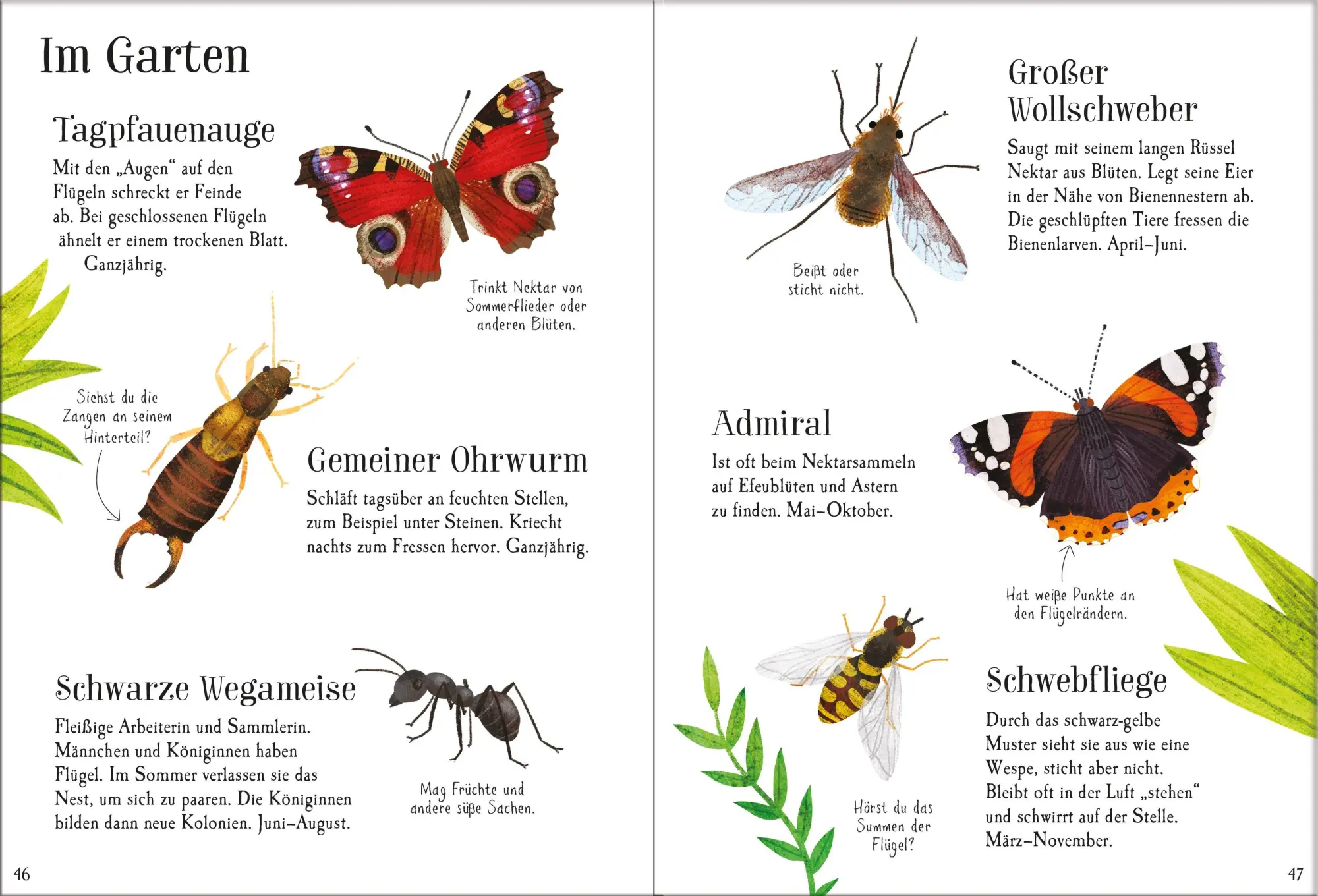 Bild: 9781035701469 | Mein Usborne-Naturführer | Sam Smith (u. a.) | Taschenbuch | 96 S.