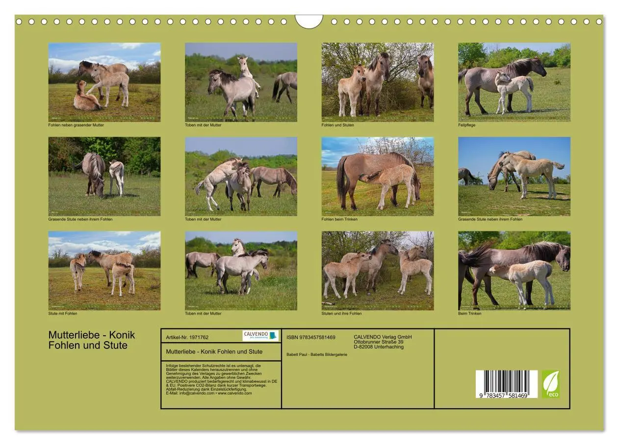 Bild: 9783457581469 | Mutterliebe - Konik Fohlen und Stute (Wandkalender 2026 DIN A3...