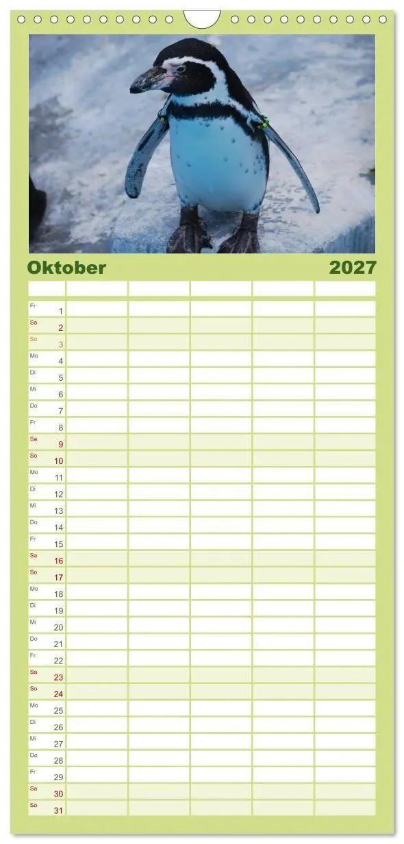 Bild: 9783594331569 | Familienplaner 2027 - Pinguine 2027 mit 5 Spalten (Wandkalender, 21...