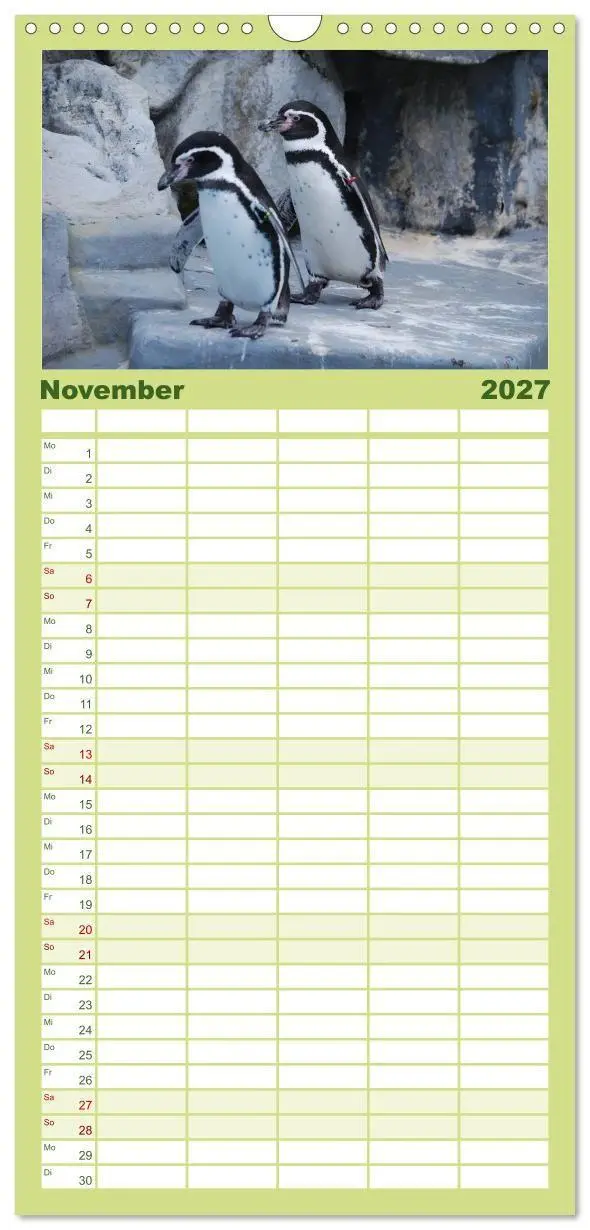 Bild: 9783594331569 | Familienplaner 2027 - Pinguine 2027 mit 5 Spalten (Wandkalender, 21...