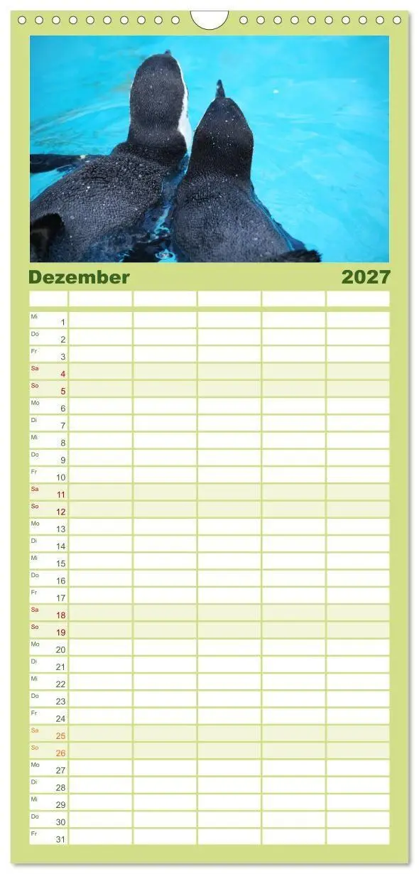 Bild: 9783594331569 | Familienplaner 2027 - Pinguine 2027 mit 5 Spalten (Wandkalender, 21...