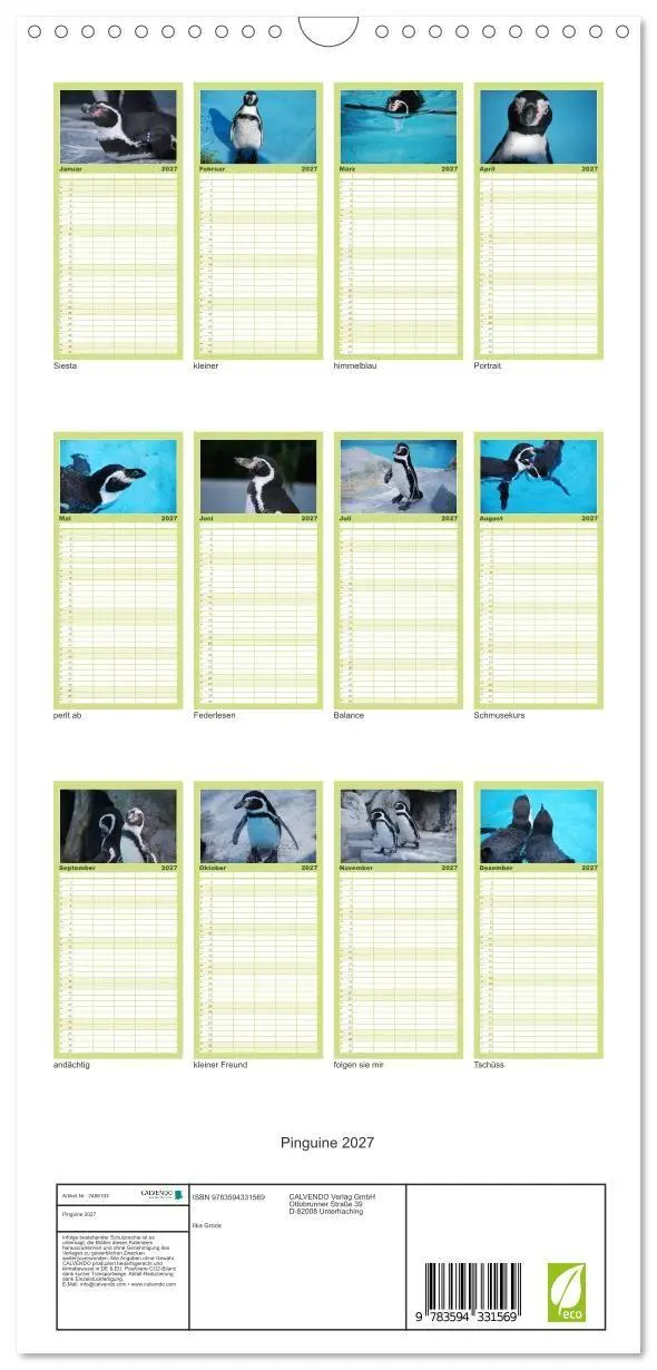 Bild: 9783594331569 | Familienplaner 2027 - Pinguine 2027 mit 5 Spalten (Wandkalender, 21...
