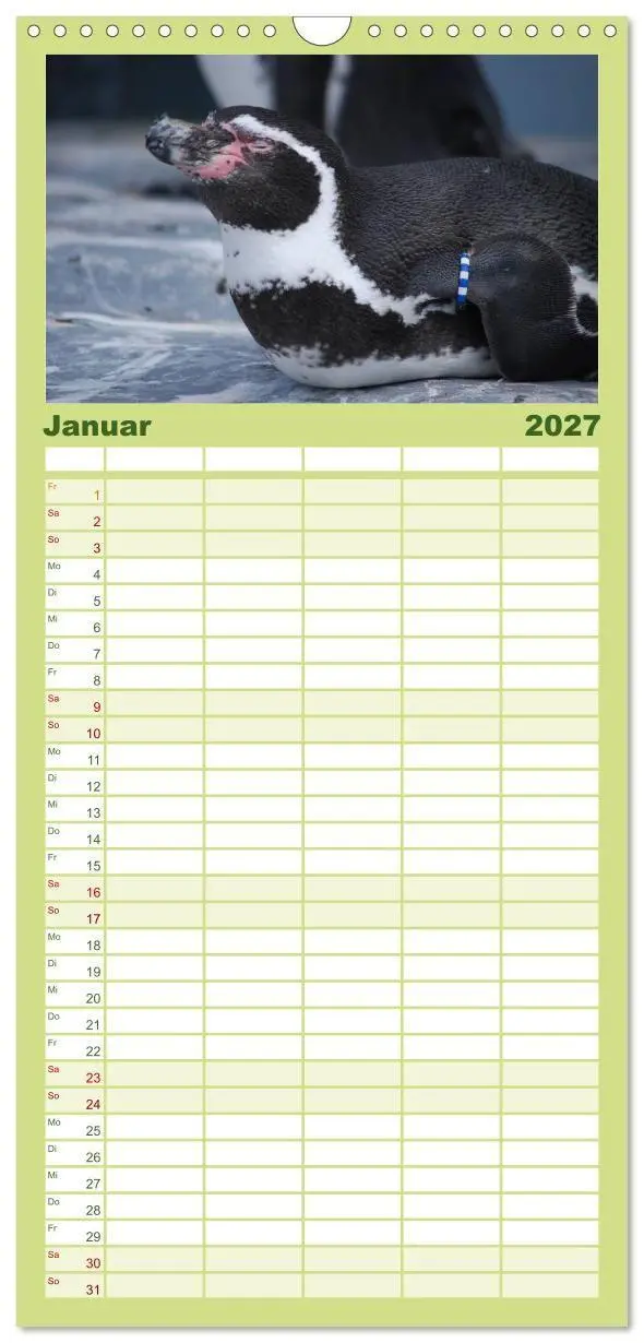 Bild: 9783594331569 | Familienplaner 2027 - Pinguine 2027 mit 5 Spalten (Wandkalender, 21...