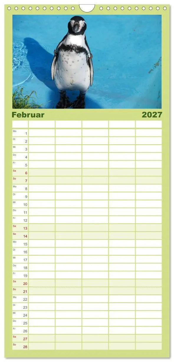 Bild: 9783594331569 | Familienplaner 2027 - Pinguine 2027 mit 5 Spalten (Wandkalender, 21...