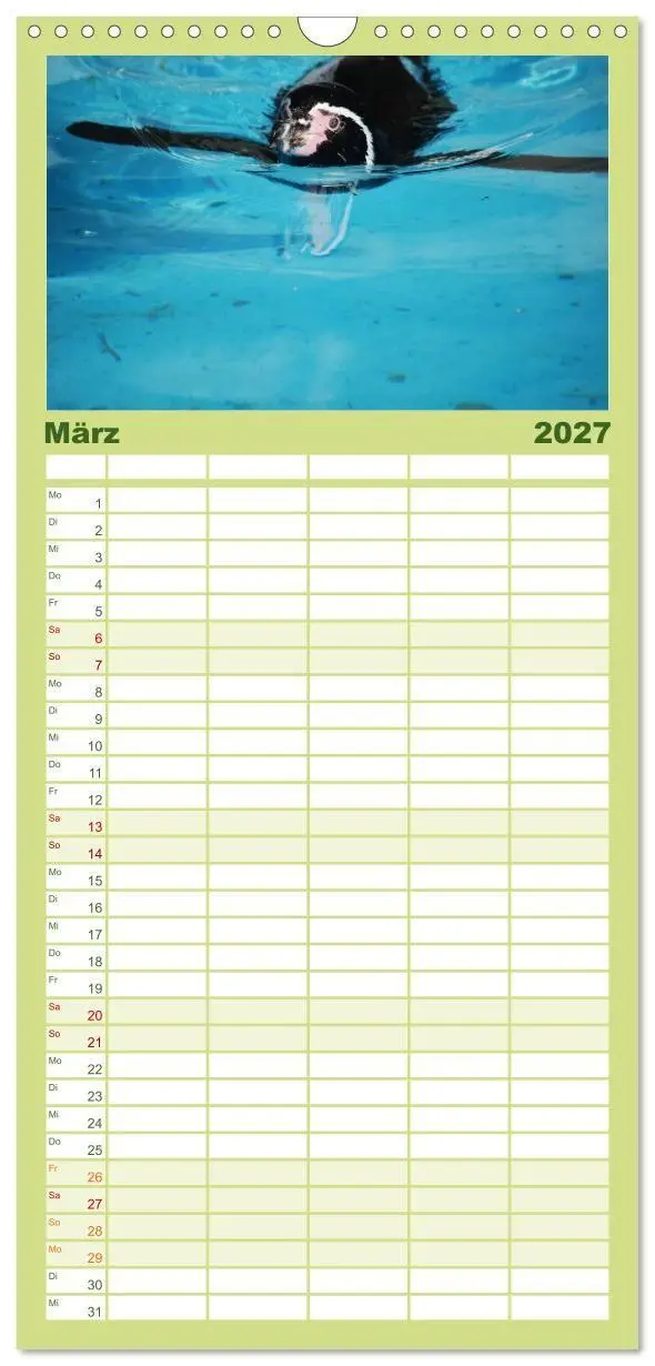 Bild: 9783594331569 | Familienplaner 2027 - Pinguine 2027 mit 5 Spalten (Wandkalender, 21...