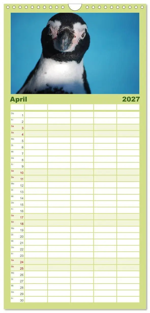 Bild: 9783594331569 | Familienplaner 2027 - Pinguine 2027 mit 5 Spalten (Wandkalender, 21...