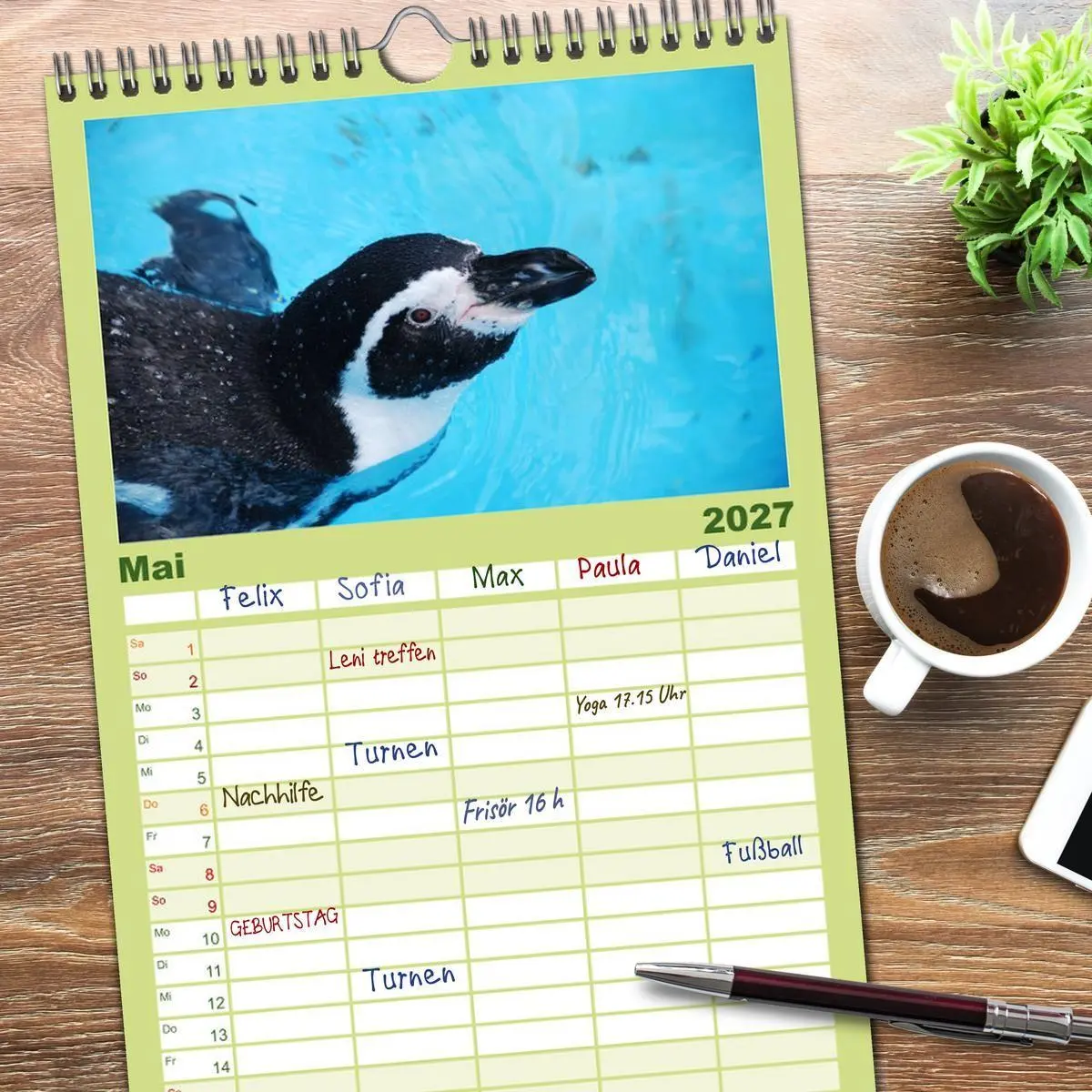 Bild: 9783594331569 | Familienplaner 2027 - Pinguine 2027 mit 5 Spalten (Wandkalender, 21...