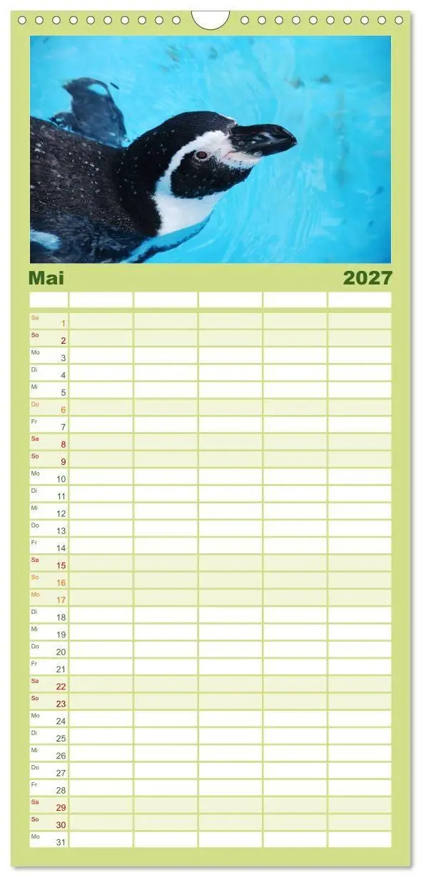 Bild: 9783594331569 | Familienplaner 2027 - Pinguine 2027 mit 5 Spalten (Wandkalender, 21...