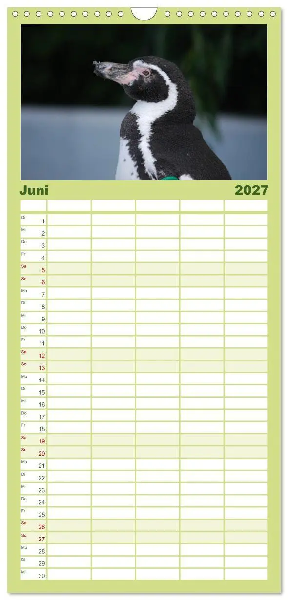 Bild: 9783594331569 | Familienplaner 2027 - Pinguine 2027 mit 5 Spalten (Wandkalender, 21...