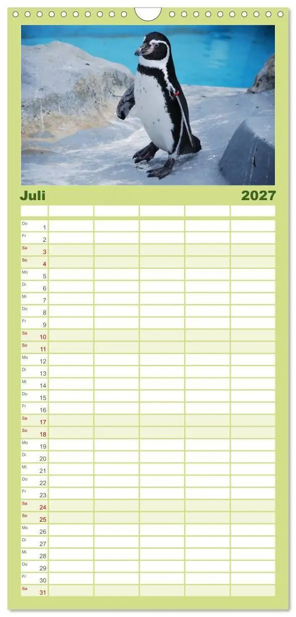 Bild: 9783594331569 | Familienplaner 2027 - Pinguine 2027 mit 5 Spalten (Wandkalender, 21...