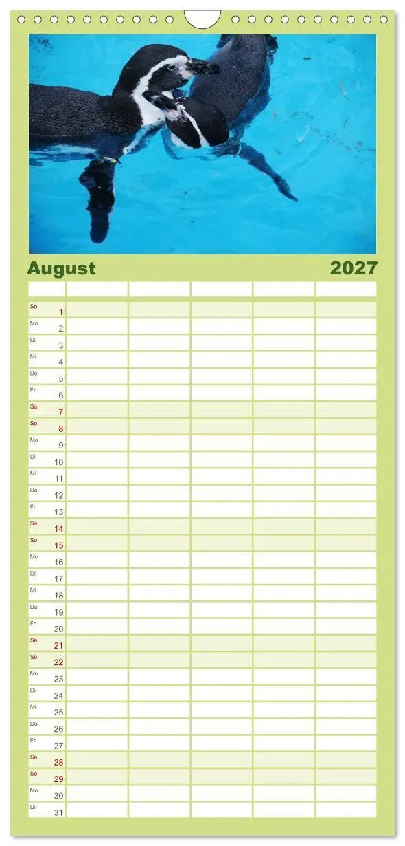 Bild: 9783594331569 | Familienplaner 2027 - Pinguine 2027 mit 5 Spalten (Wandkalender, 21...