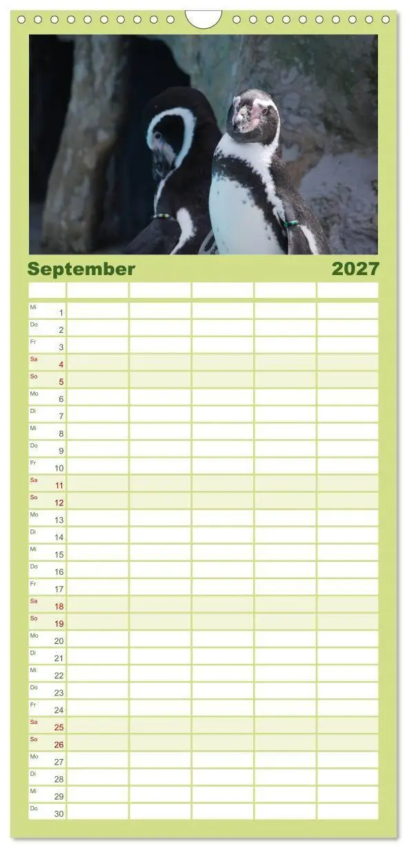 Bild: 9783594331569 | Familienplaner 2027 - Pinguine 2027 mit 5 Spalten (Wandkalender, 21...