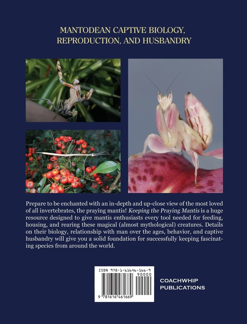 Rückseite: 9781616461669 | Keeping the Praying Mantis | Orin Mcmonigle | Buch | Gebunden | 2013