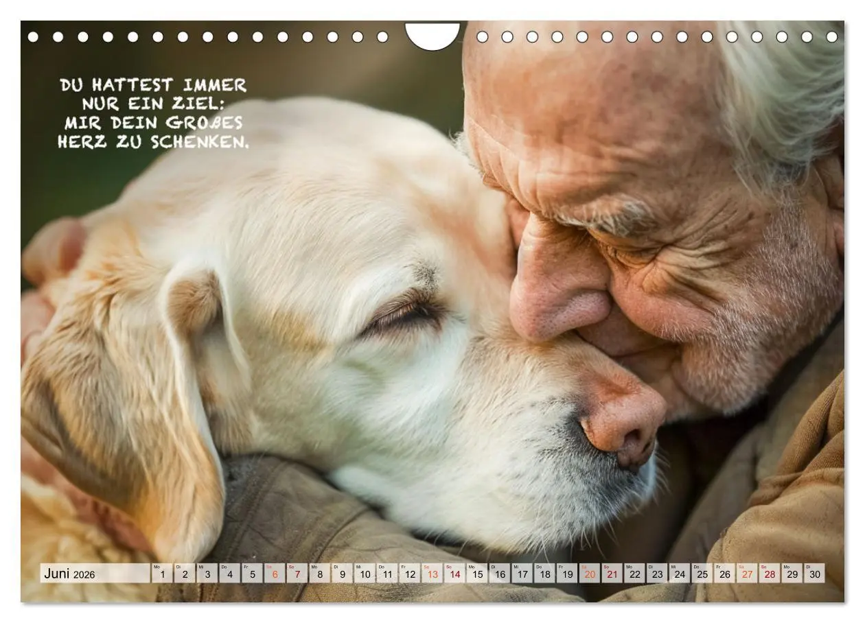 Bild: 9783457321669 | Hunde und berührende Sprüche (Wandkalender 2026 DIN A4 quer),...