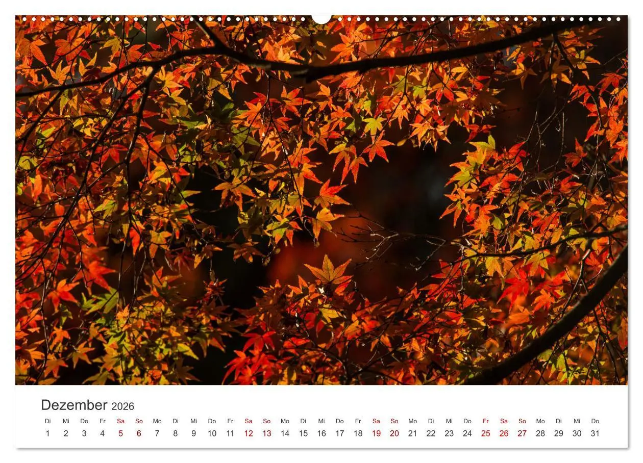 Bild: 9783457491669 | Japanischer Herbst und Laub (hochwertiger Premium Wandkalender 2026...