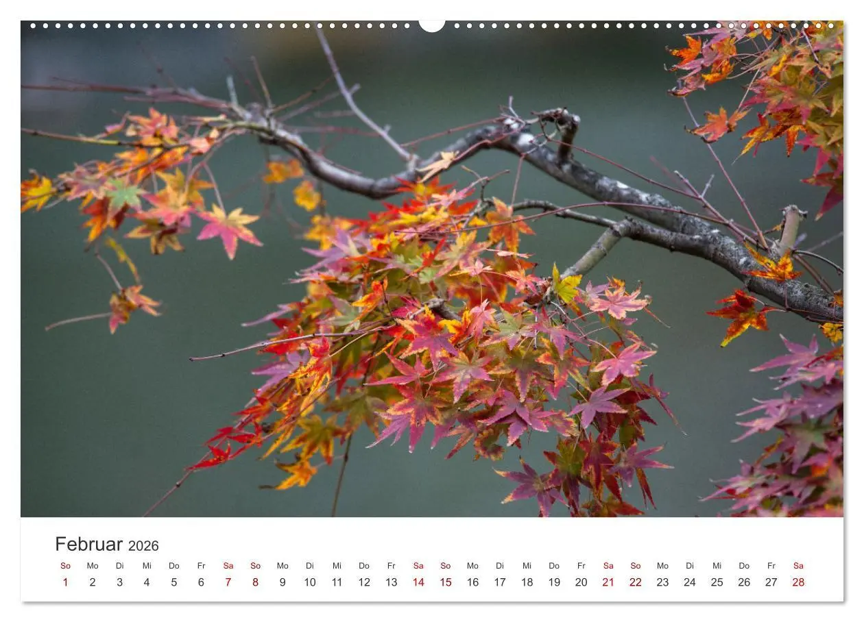 Bild: 9783457491669 | Japanischer Herbst und Laub (hochwertiger Premium Wandkalender 2026...