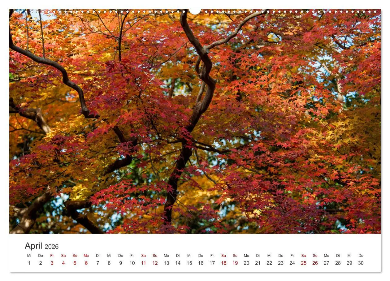 Bild: 9783457491669 | Japanischer Herbst und Laub (hochwertiger Premium Wandkalender 2026...