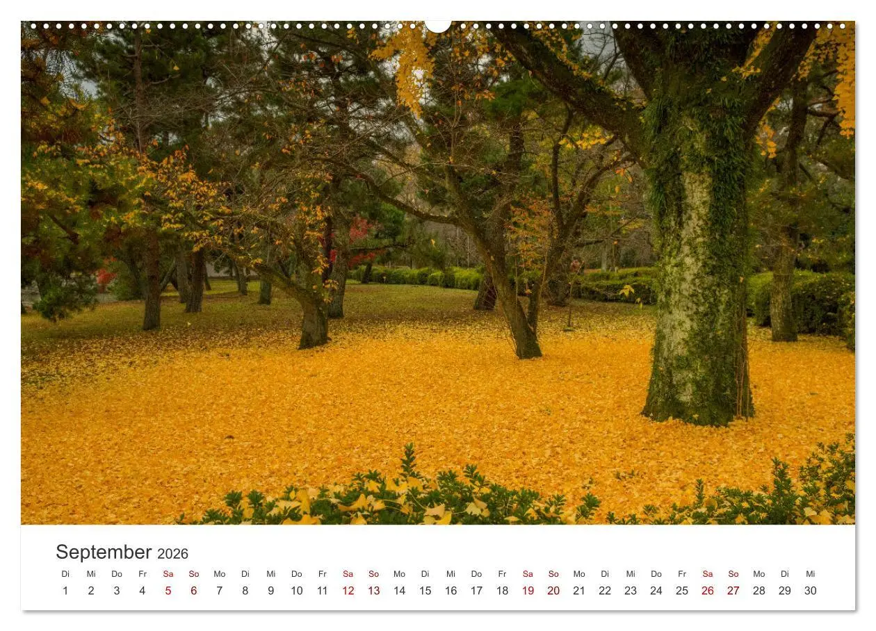 Bild: 9783457491669 | Japanischer Herbst und Laub (hochwertiger Premium Wandkalender 2026...