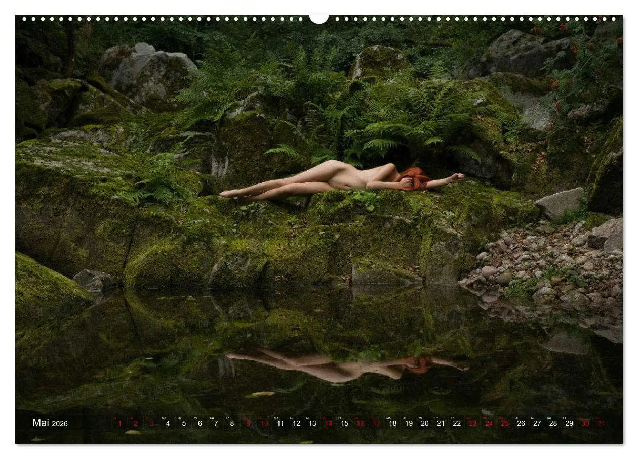 Bild: 9783457931769 | Erotischer Schwarzwald (Wandkalender 2026 DIN A2 quer), CALVENDO...