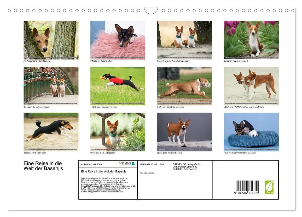 Bild: 9783516711769 | Eine Reise in die Welt der Basenjis (Wandkalender 2026 DIN A3...
