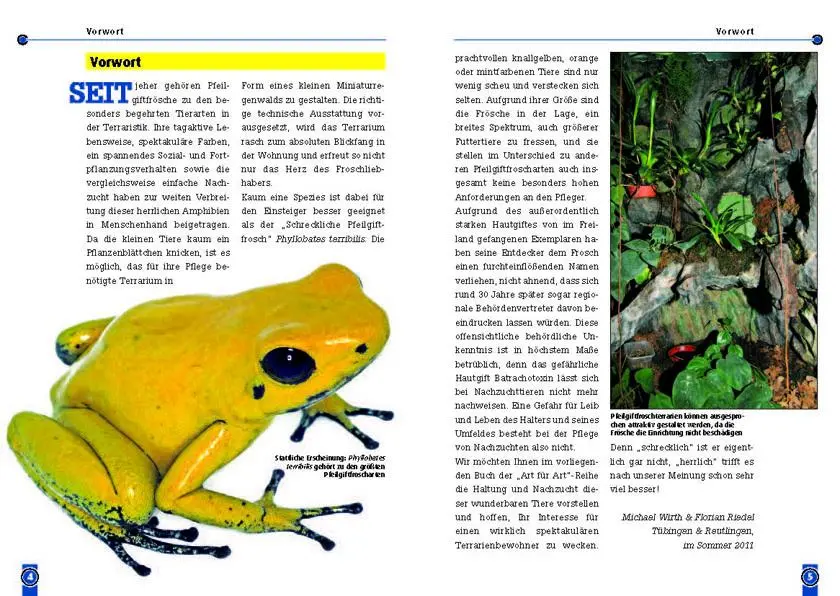 Bild: 9783866591769 | Der schreckliche Pfeilgiftfrosch | Phyllobates Terribilis | Buch
