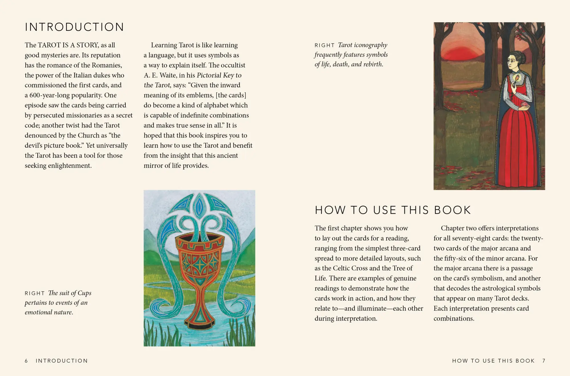 Bild: 9781800651869 | The Little Book of Tarot | Liz Dean | Buch | Gebunden | Englisch