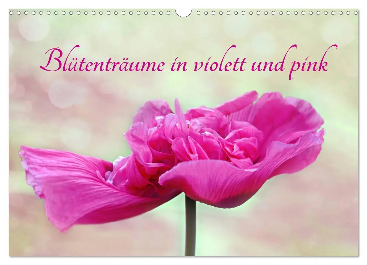 Cover: 9783457781869 | Blütenträume in violett und pink (Wandkalender 2026 DIN A3 quer),...