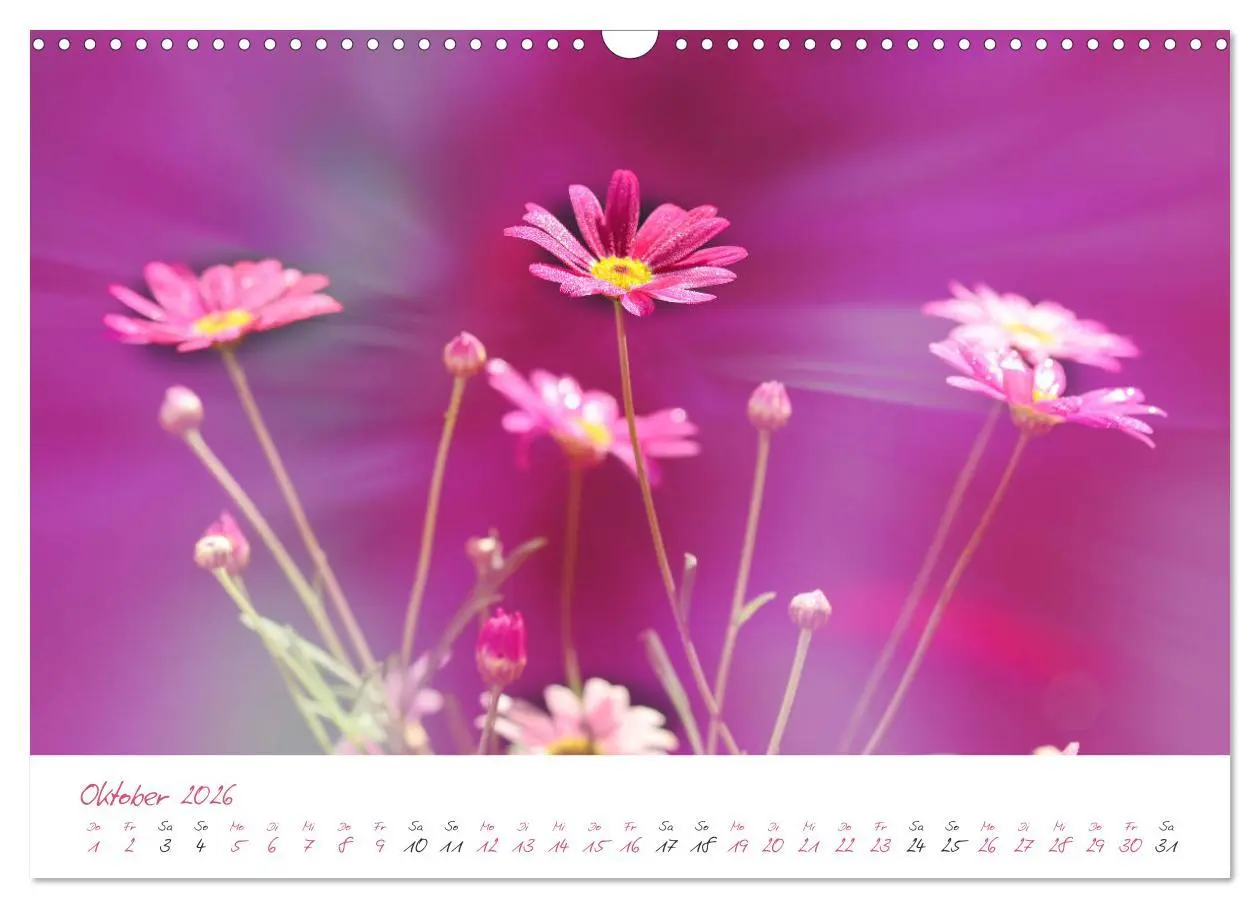 Bild: 9783457781869 | Blütenträume in violett und pink (Wandkalender 2026 DIN A3 quer),...