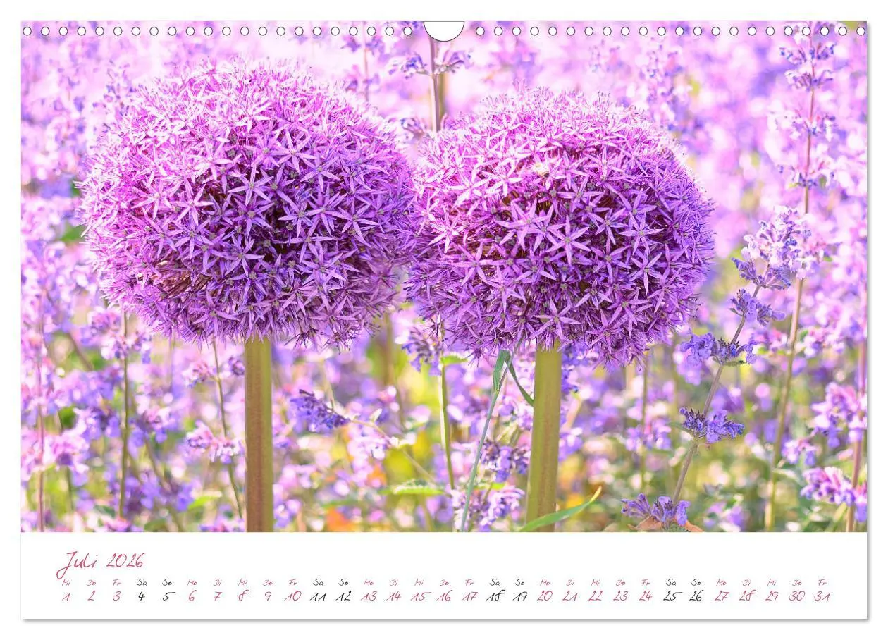 Bild: 9783457781869 | Blütenträume in violett und pink (Wandkalender 2026 DIN A3 quer),...