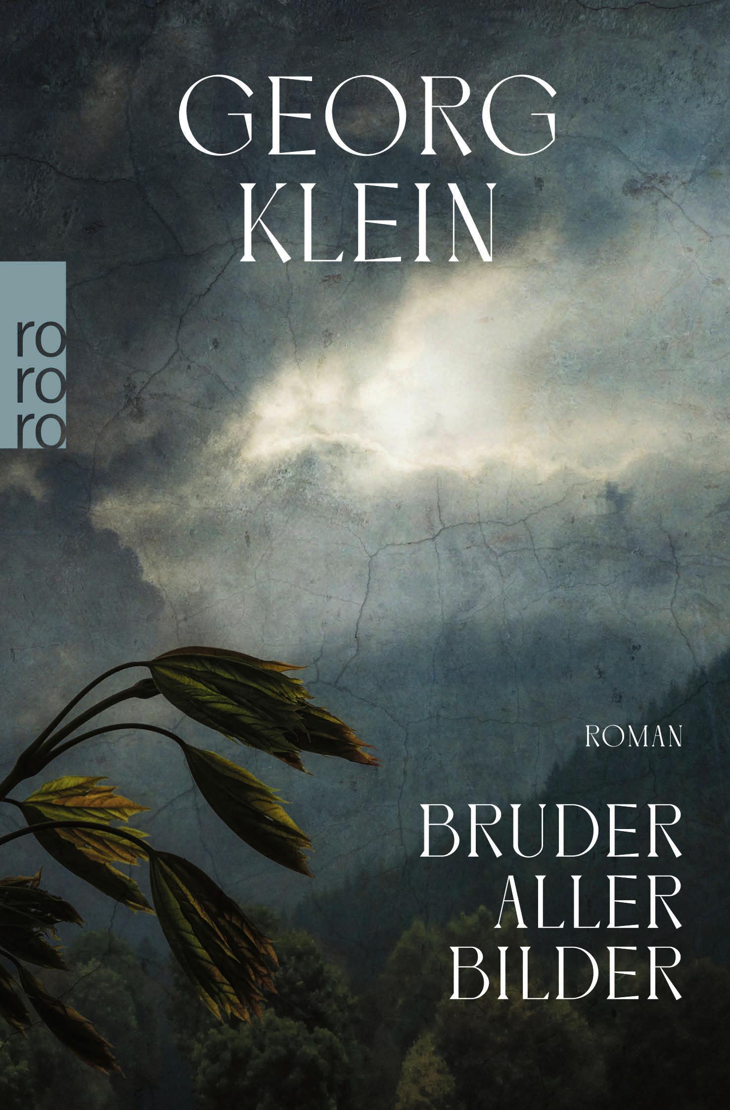 Cover: 9783499291869 | Bruder aller Bilder | Georg Klein | Taschenbuch | 272 S. | Deutsch