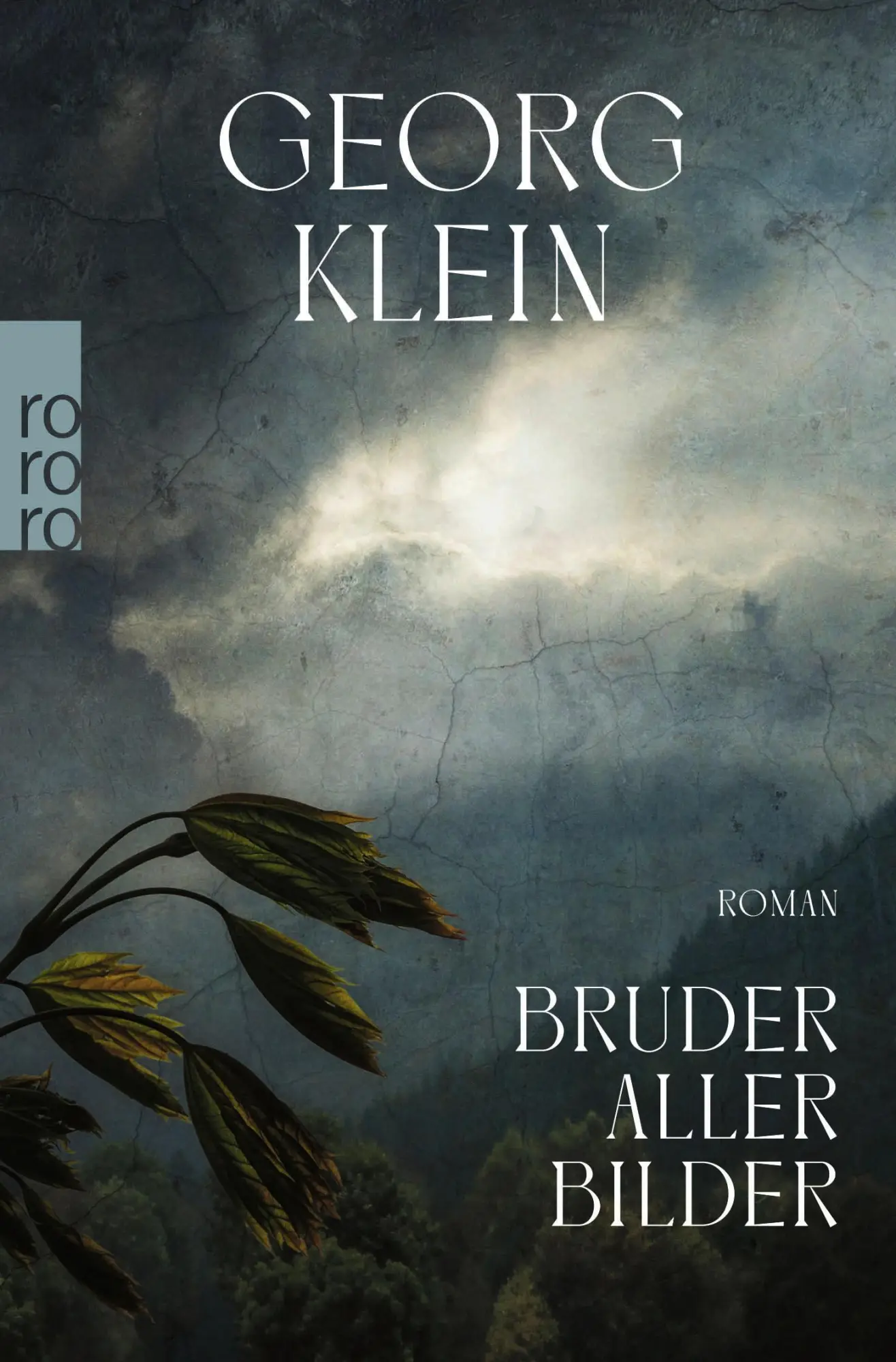 Cover: 9783499291869 | Bruder aller Bilder | Georg Klein | Taschenbuch | 272 S. | Deutsch
