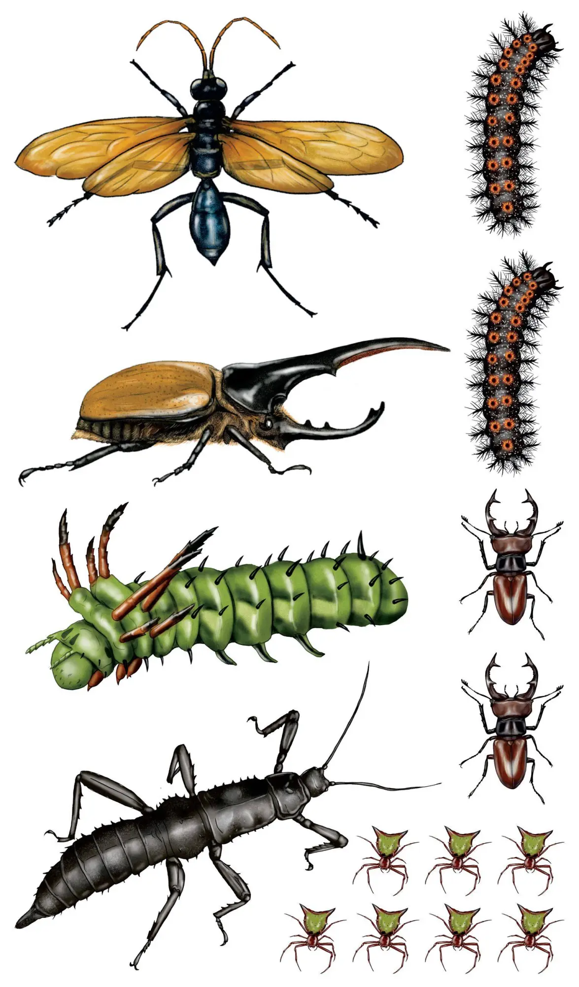 Bild: 9781635861969 | Creepy, Crawly Tattoo Bugs | 60 Temporary Tattoos That Teach | Roehrig
