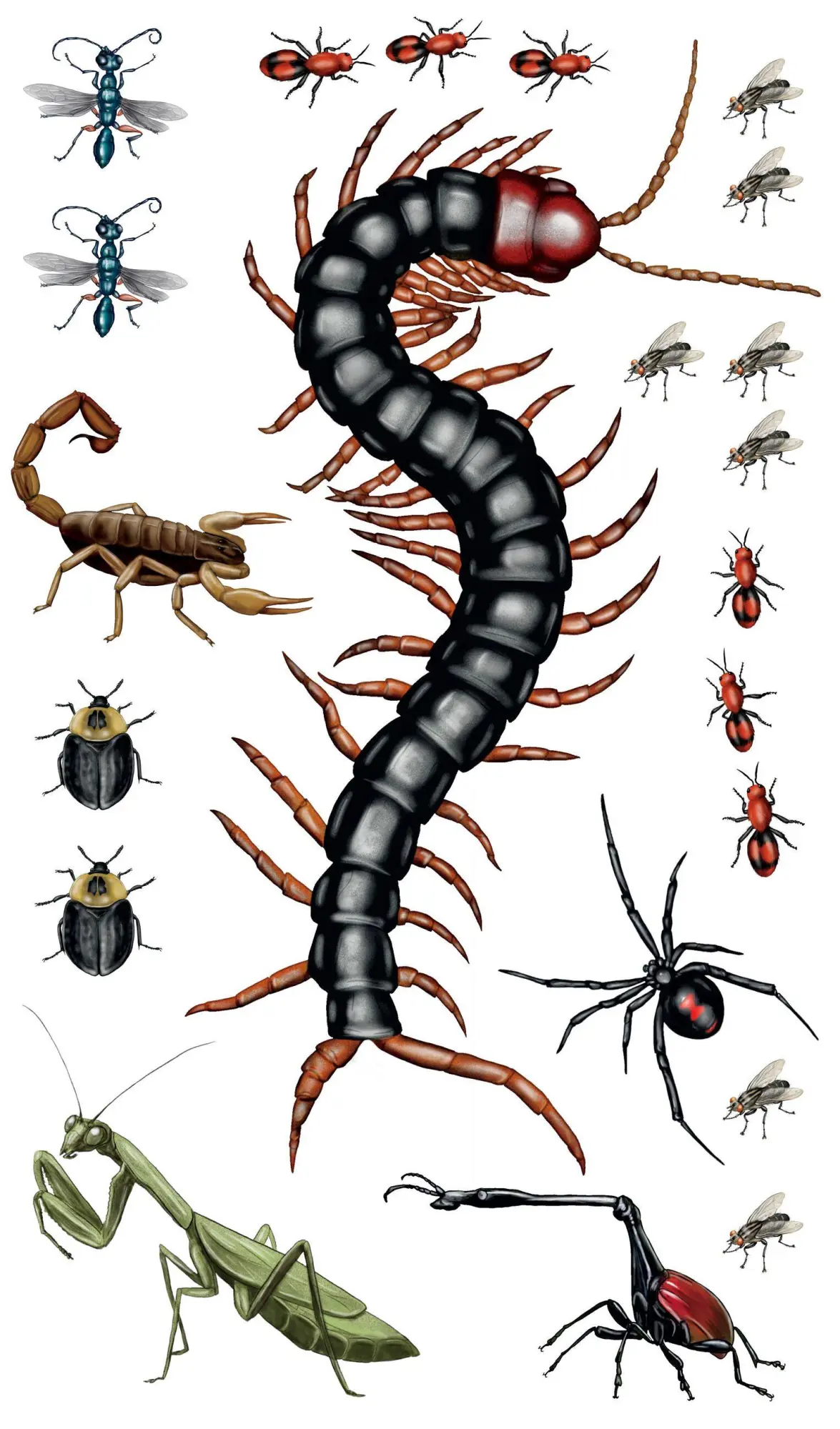 Bild: 9781635861969 | Creepy, Crawly Tattoo Bugs | 60 Temporary Tattoos That Teach | Roehrig