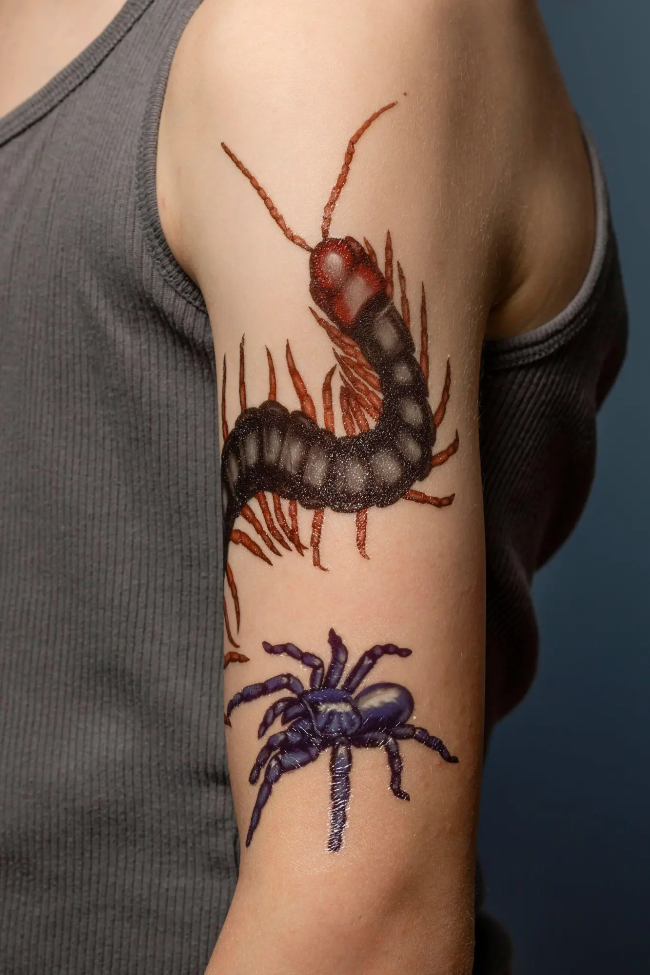 Bild: 9781635861969 | Creepy, Crawly Tattoo Bugs | 60 Temporary Tattoos That Teach | Roehrig